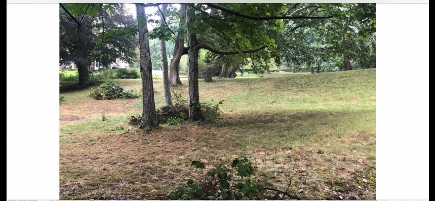 3850 Main Street Barnstable, MA 02630 - Photo 11 of 16 a view of a yard with trees