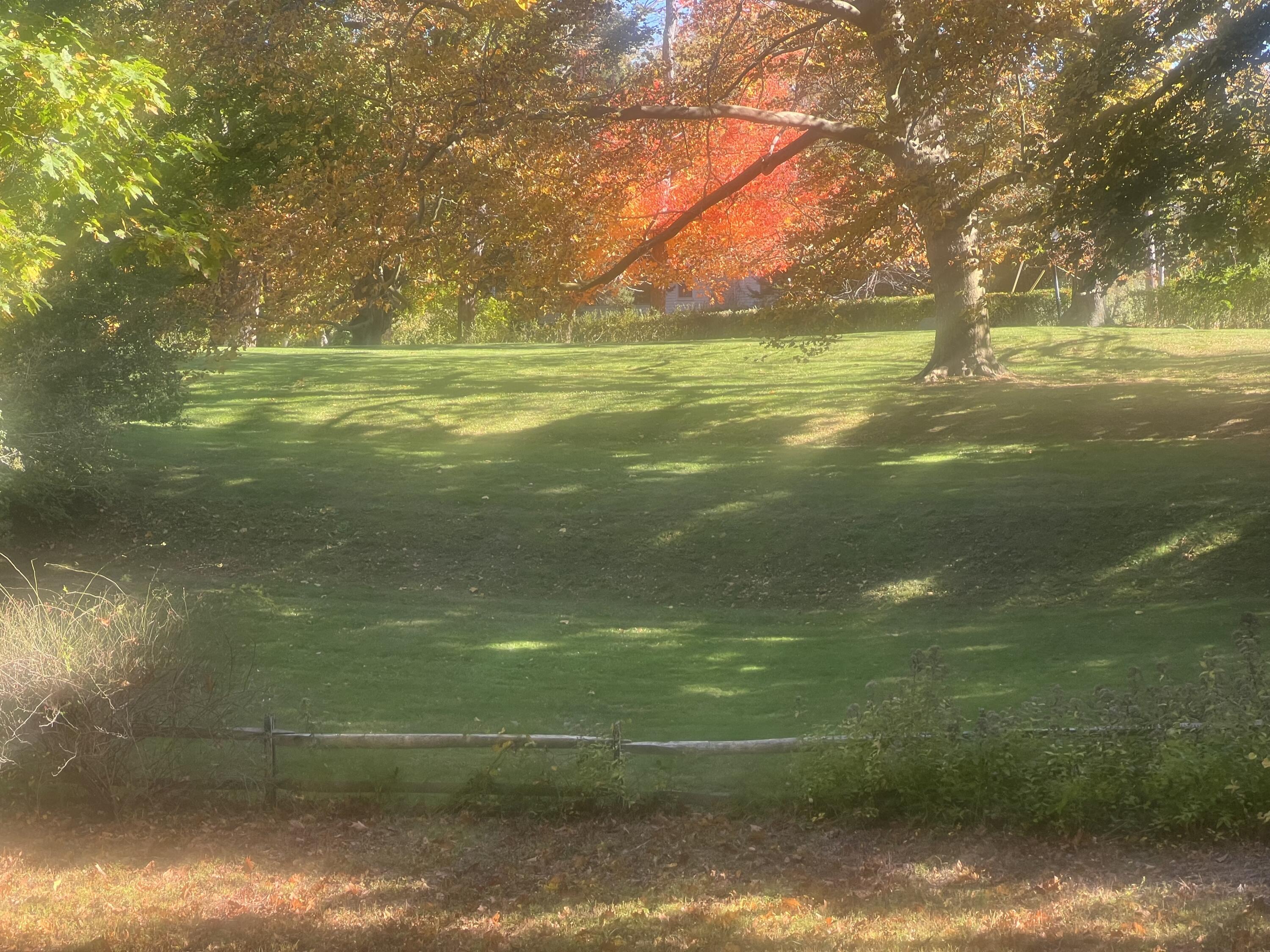 3850 Main Street Barnstable, MA 02630 - Photo 5 of 16 a view of a trees in a yard