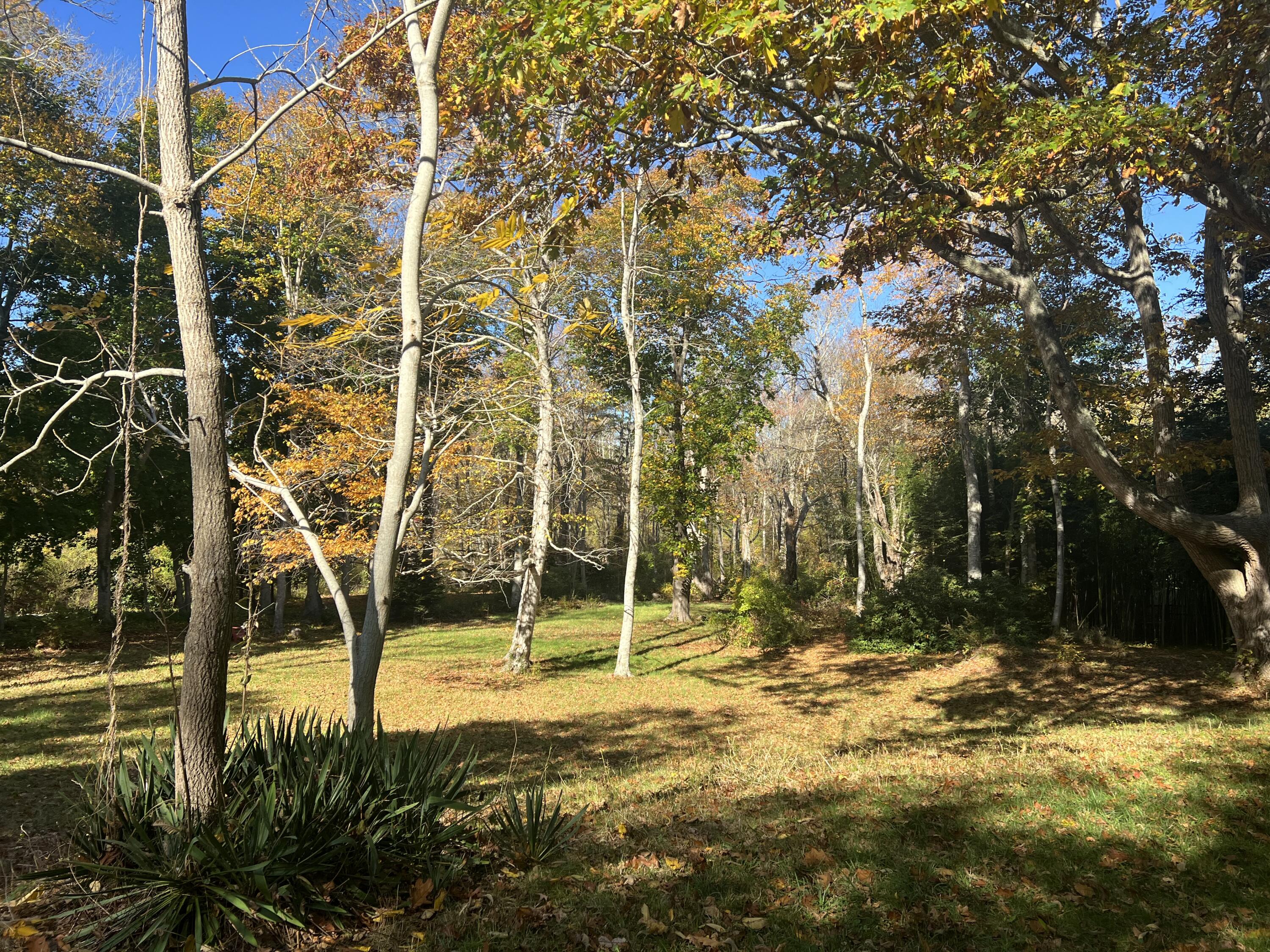 3850 Main Street Barnstable, MA 02630 - Photo 6 of 16 a backyard of a house with lots of green space
