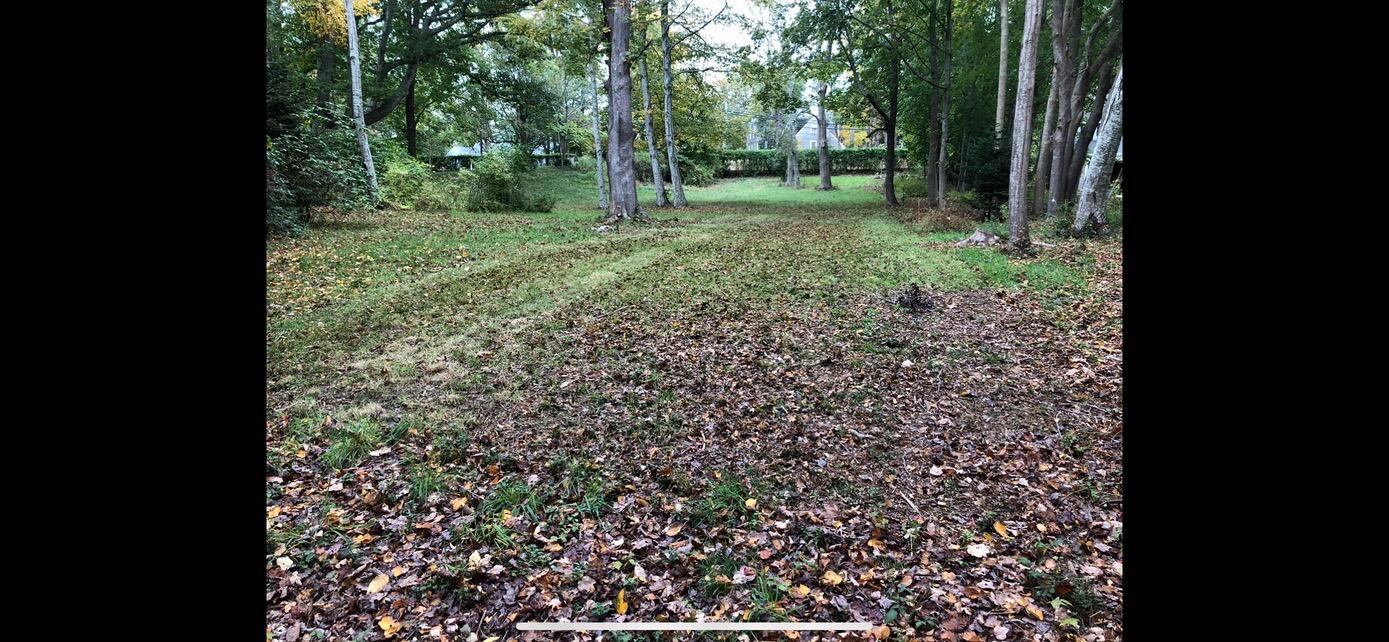 3850 Main Street Barnstable, MA 02630 - Photo 7 of 16 a view of backyard with green space