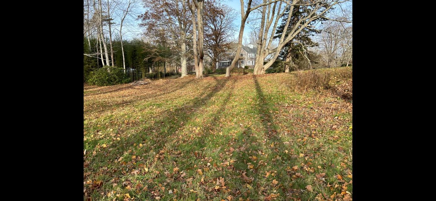 3850 Main Street Barnstable, MA 02630 - Photo 8 of 16 a view of back yard