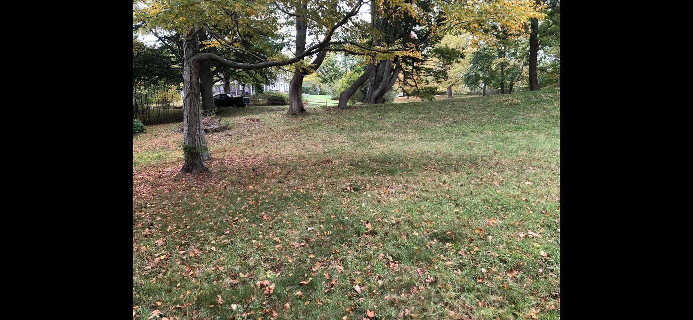 3850 Main Street Barnstable, MA 02630 - Photo 9 of 16 a view of a yard with a tree