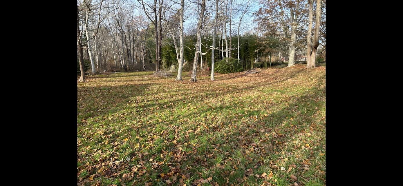 3850 Main Street Barnstable, MA 02630 - Photo 10 of 16 a view of outdoor space with trees