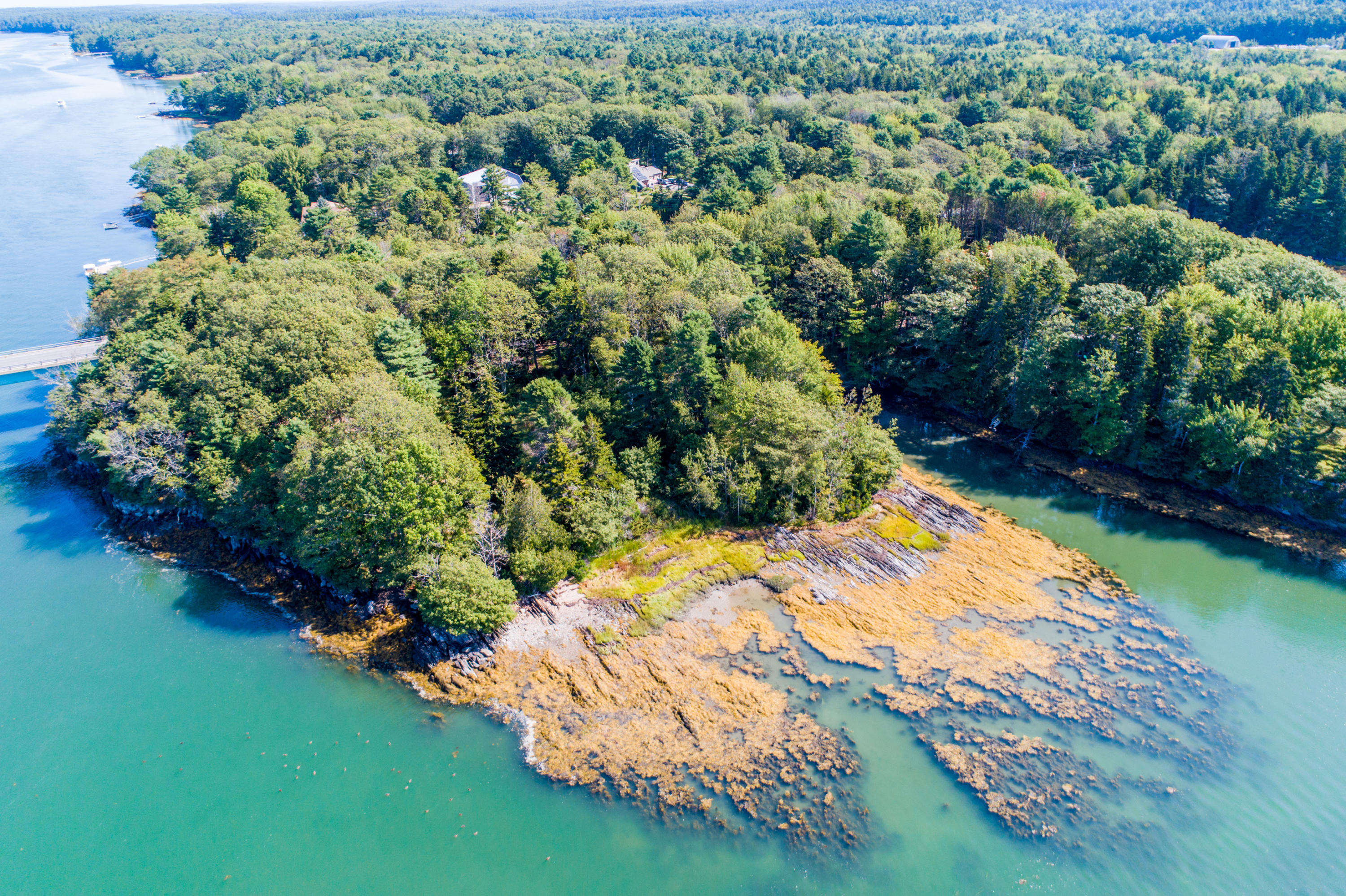 0 Mountain Road Harpswell, ME 04079 - Photo 19 of 20 DJI_0002