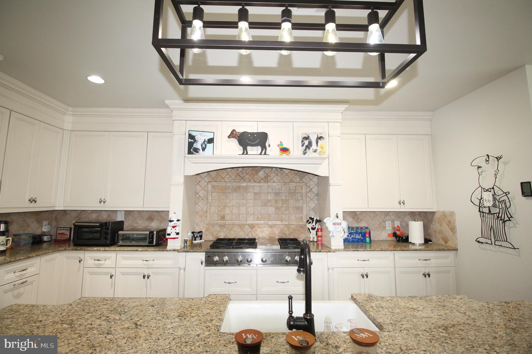 1535 High Country Road Downingtown, PA 19335 - Photo 2 of 47