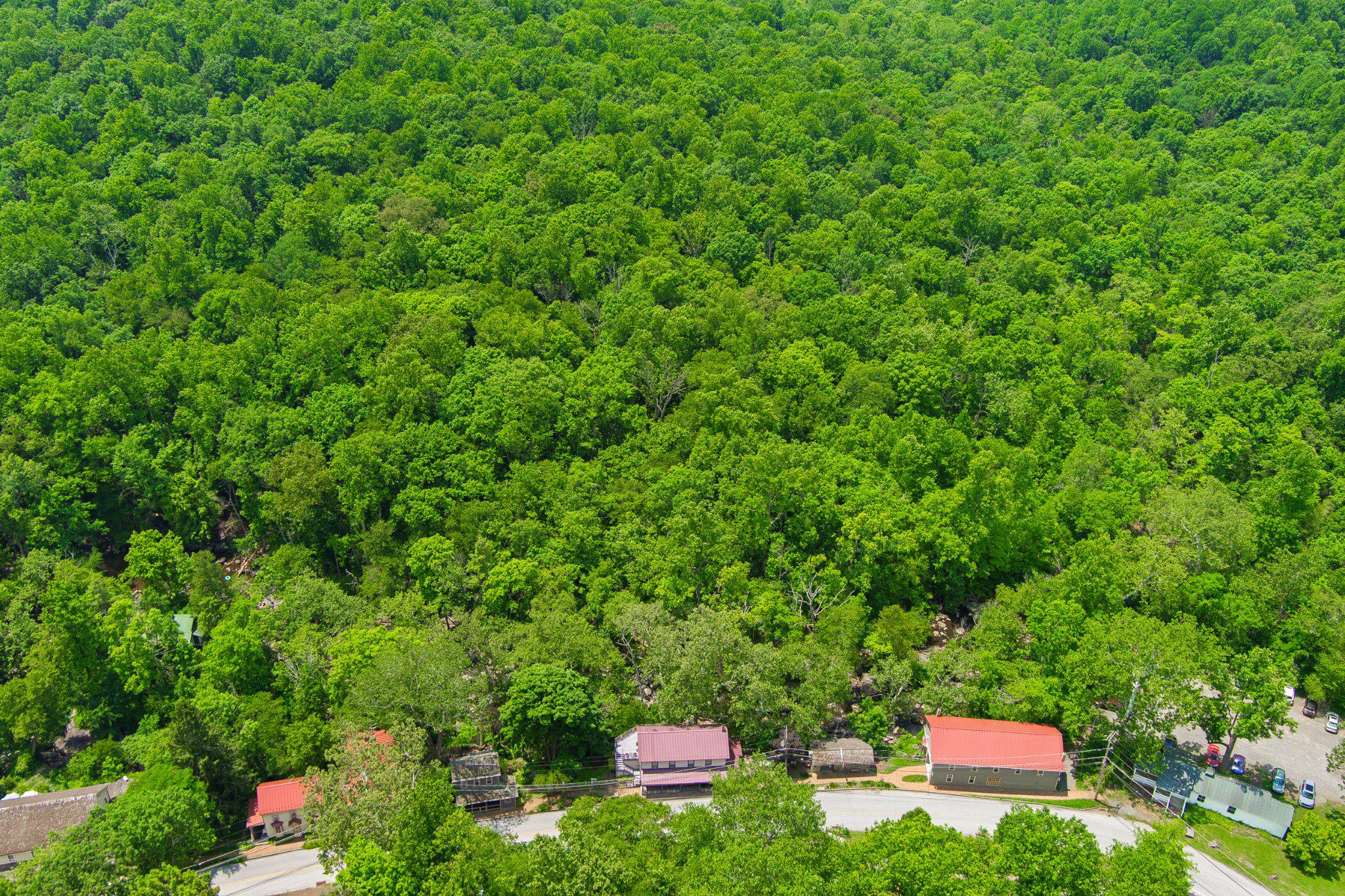 3401 St Peters Road, Unit 11 Elverson, PA 19520 - Photo 54 of 59 French Creek State Park behind the village