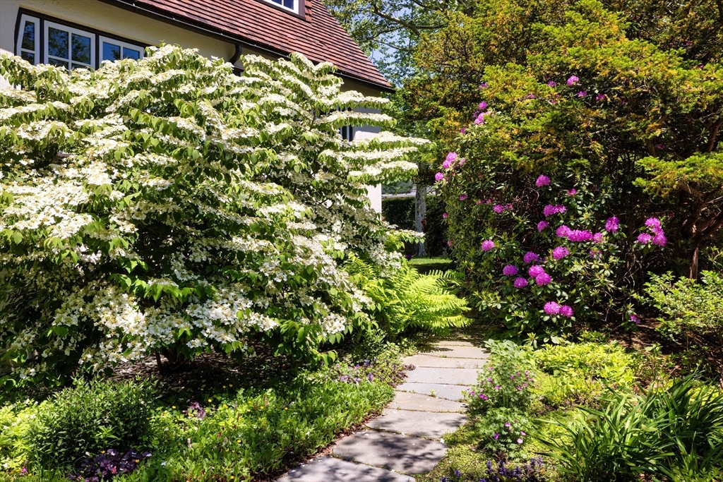 55 Penniman Road Brookline, MA 02445 - Photo 24 of 26