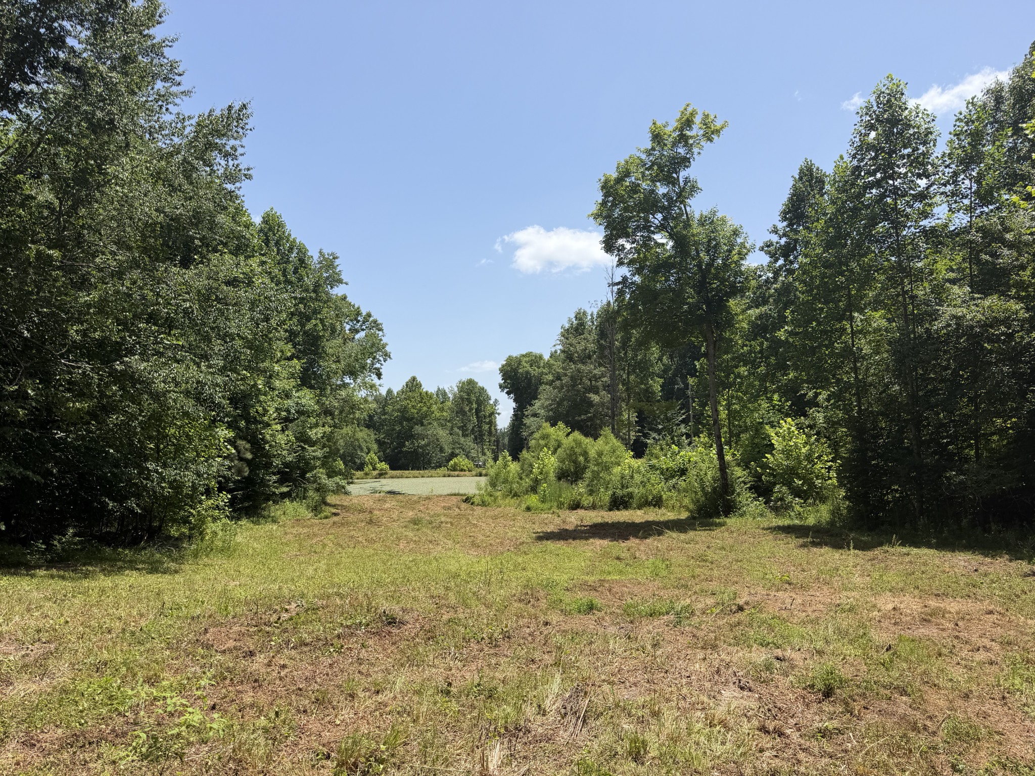 215 Bar Bee Road Hohenwald, TN 38462 - Photo 16 of 51