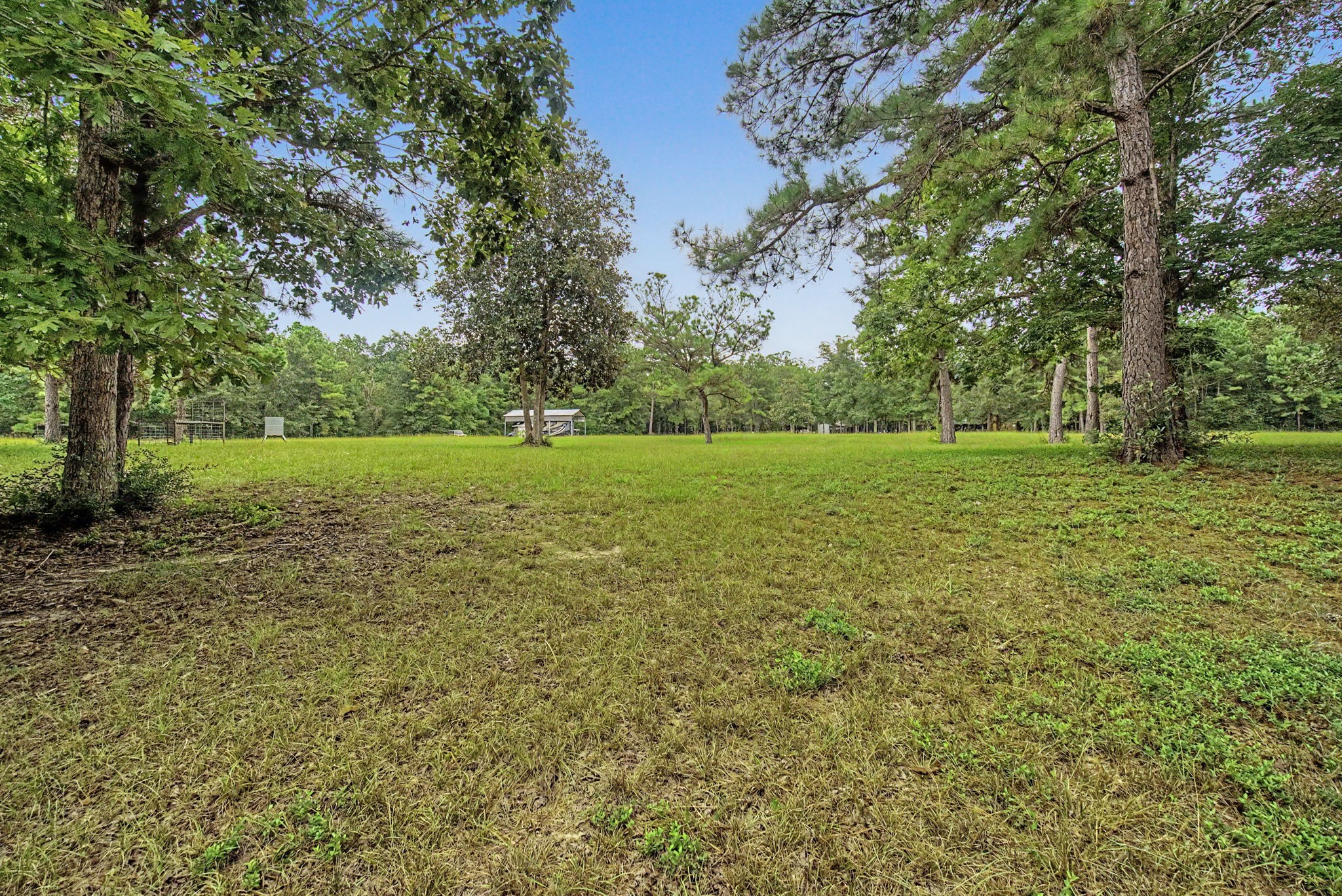 272 Tom Marsh Road Livingston, TX 77351 - Photo 42 of 50 Back Of Pasture Looking Toward House