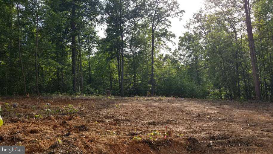Venus Branch Rd Venus Branch Road Front Royal, VA 22630 - Photo 21 of 23