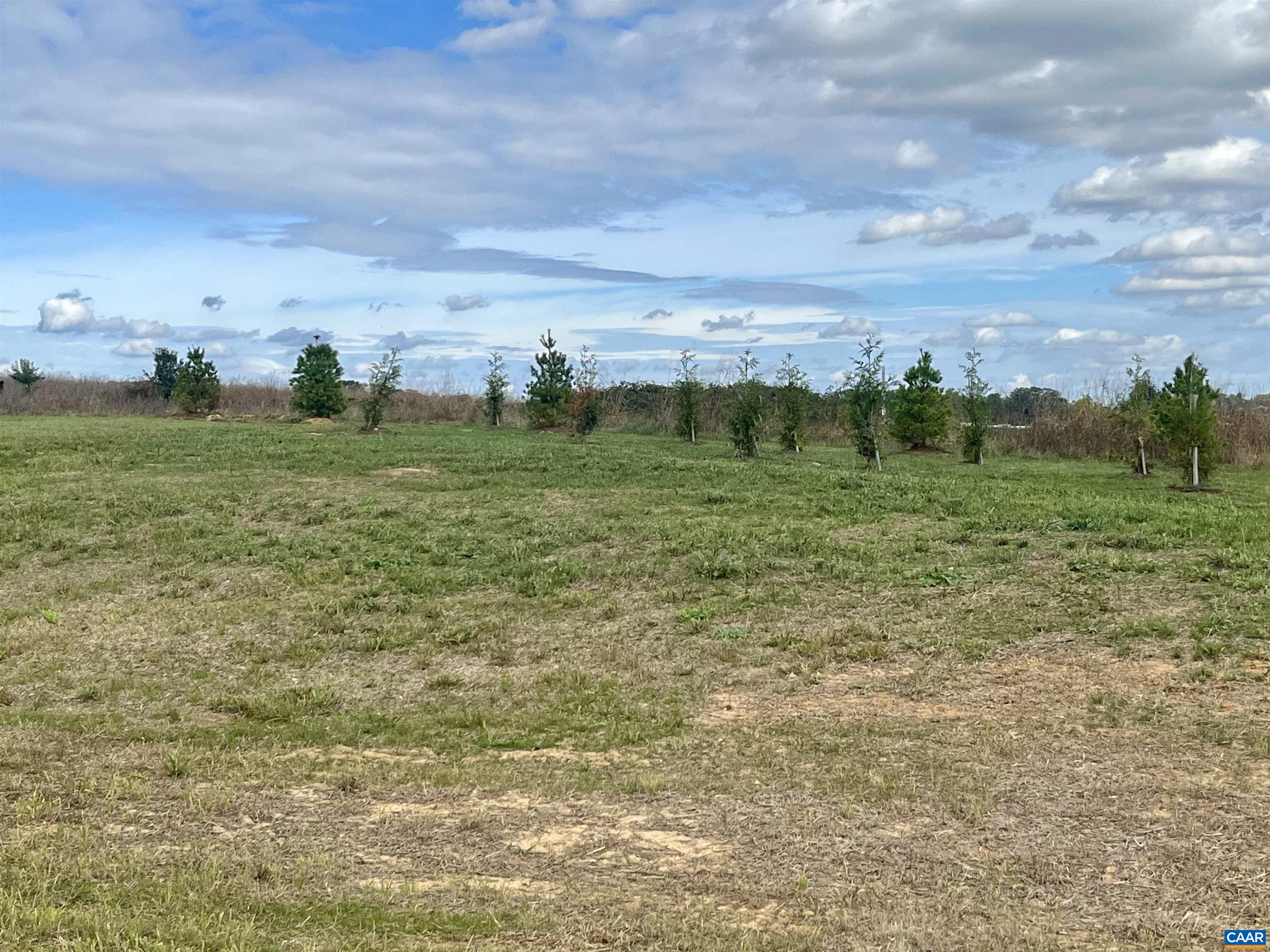 1416 Ladd Road Waynesboro, VA 22980 - Photo 62 of 66 a view of a field with an trees