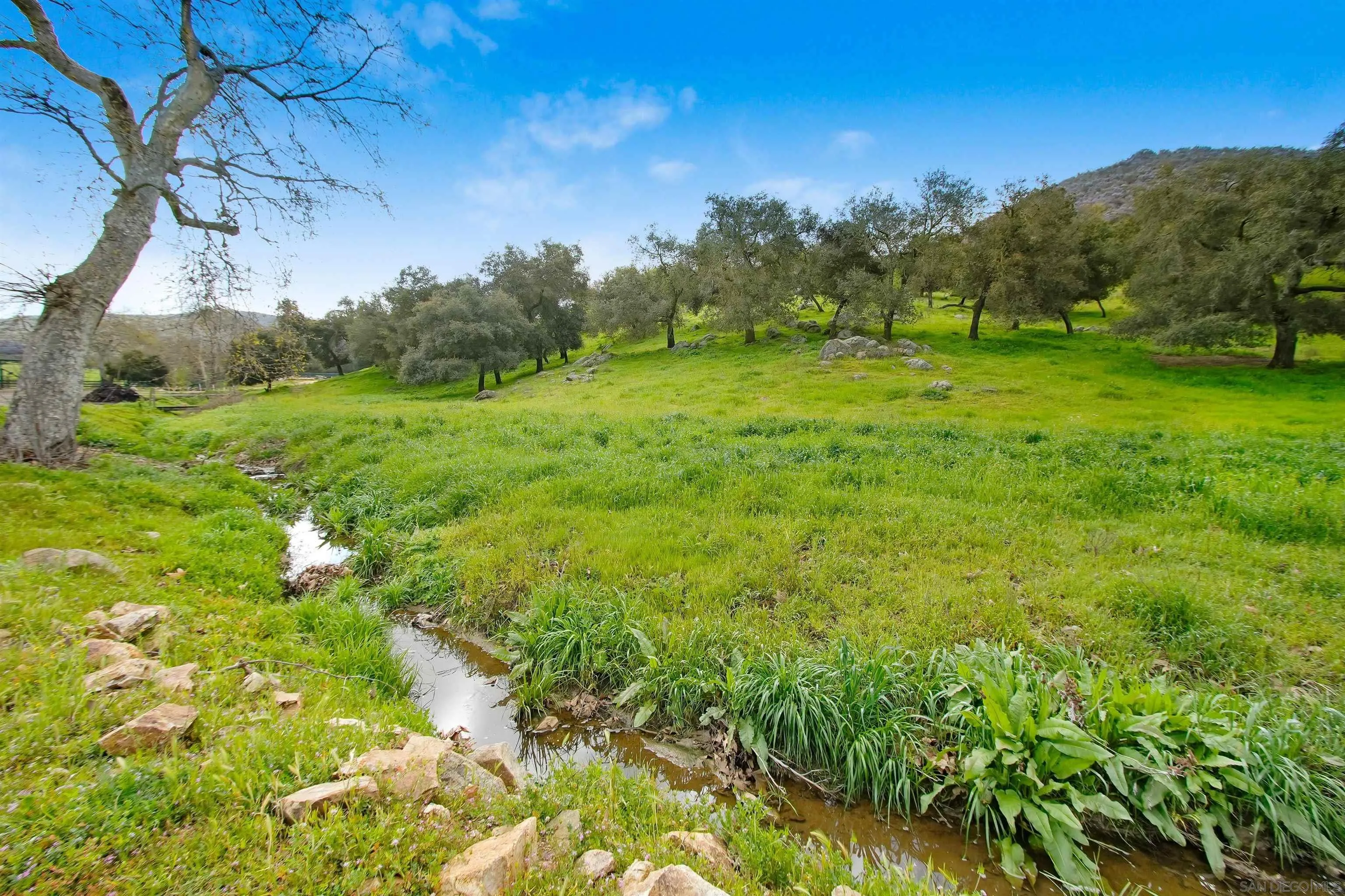 16757 Old Guejito Grade Road Escondido, CA 92027 - Photo 25 of 38 a view of a grassy field with trees