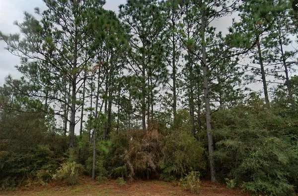 $16,500 | Deltona Boulevard, Chipley, FL 32428