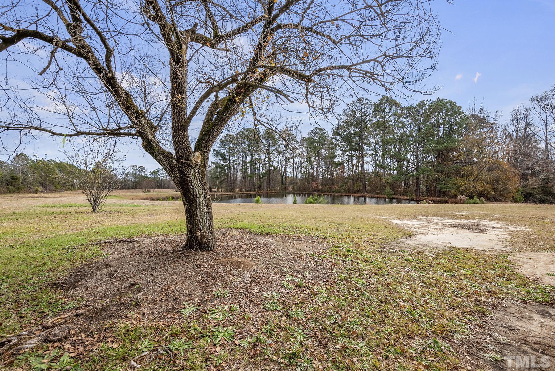 4920 Zacks Mill Road Angier, NC 27501 - Photo 27 of 30 a view of yard with trees