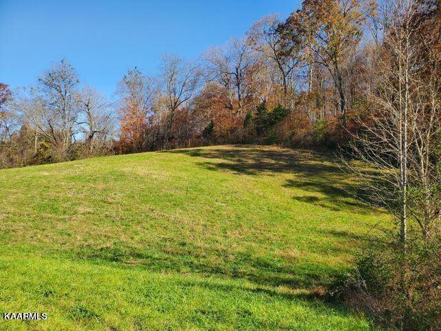 403 Russell Brothers Road Sharps Chapel, TN 37866 - Photo 2 of 9 Room for a shop