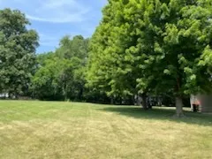 a view of a garden