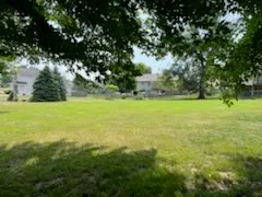 a view of yard with green space and trees in the background