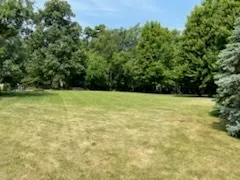 a view of a yard with a small trees