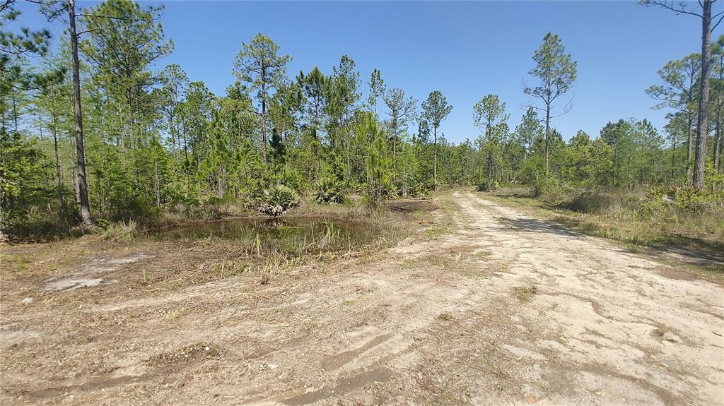 1001 Omega Ranch Road, Unit 16 Deltona, FL 32738 - Photo 7 of 12 Gallery Image 7