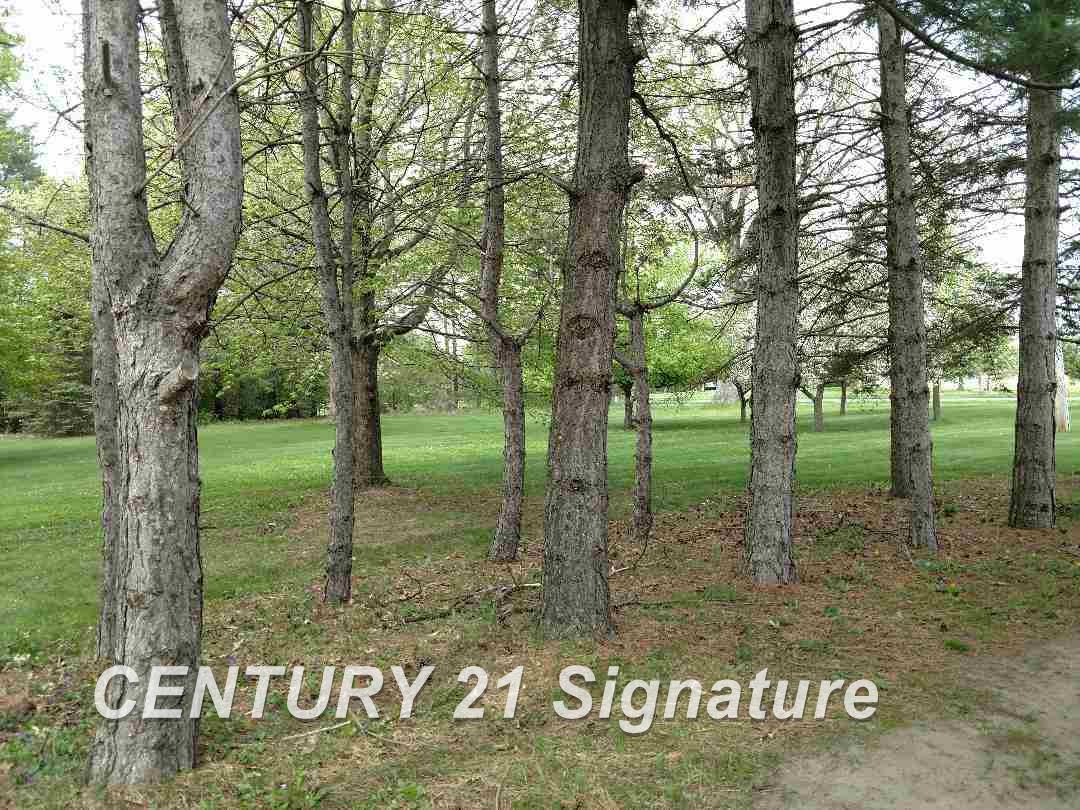 16240 Stuart Road Chesaning, MI 48616 - Photo 28 of 29