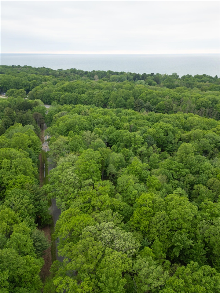 0 Red Arrow Highway Lakeside, MI 49128 - Photo 9 of 25