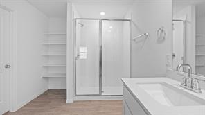 119 Morning Glory Loop Kyle, TX 78640 - Photo 10 of 24 Bathroom with vanity, a shower stall, and light wood-type flooring