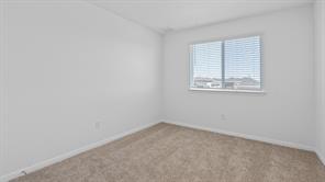 119 Morning Glory Loop Kyle, TX 78640 - Photo 15 of 24 Empty room with carpet flooring