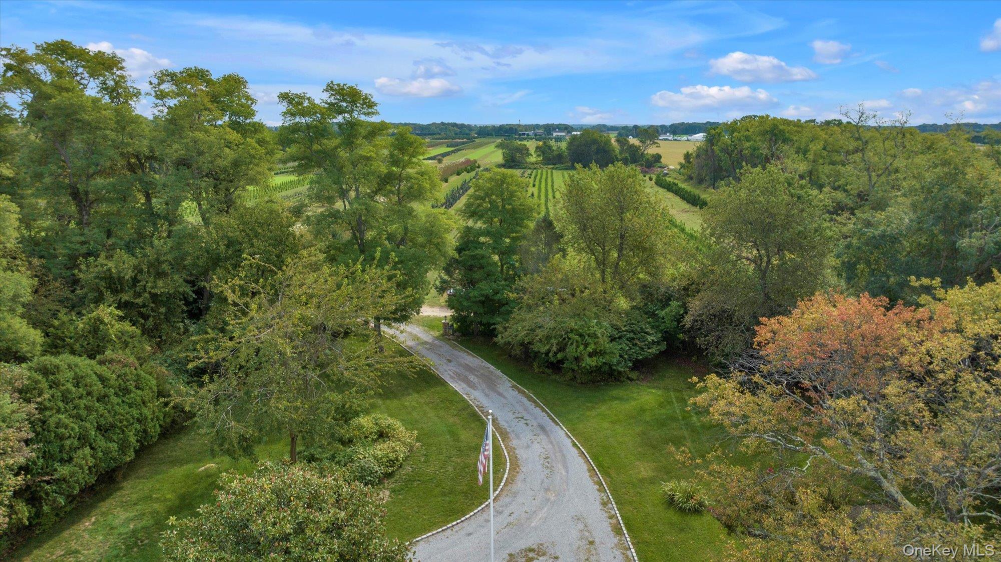 3400 Dignans Road Cutchogue, NY 11935 - Photo 46 of 50 Aerial view of property and surrounding area