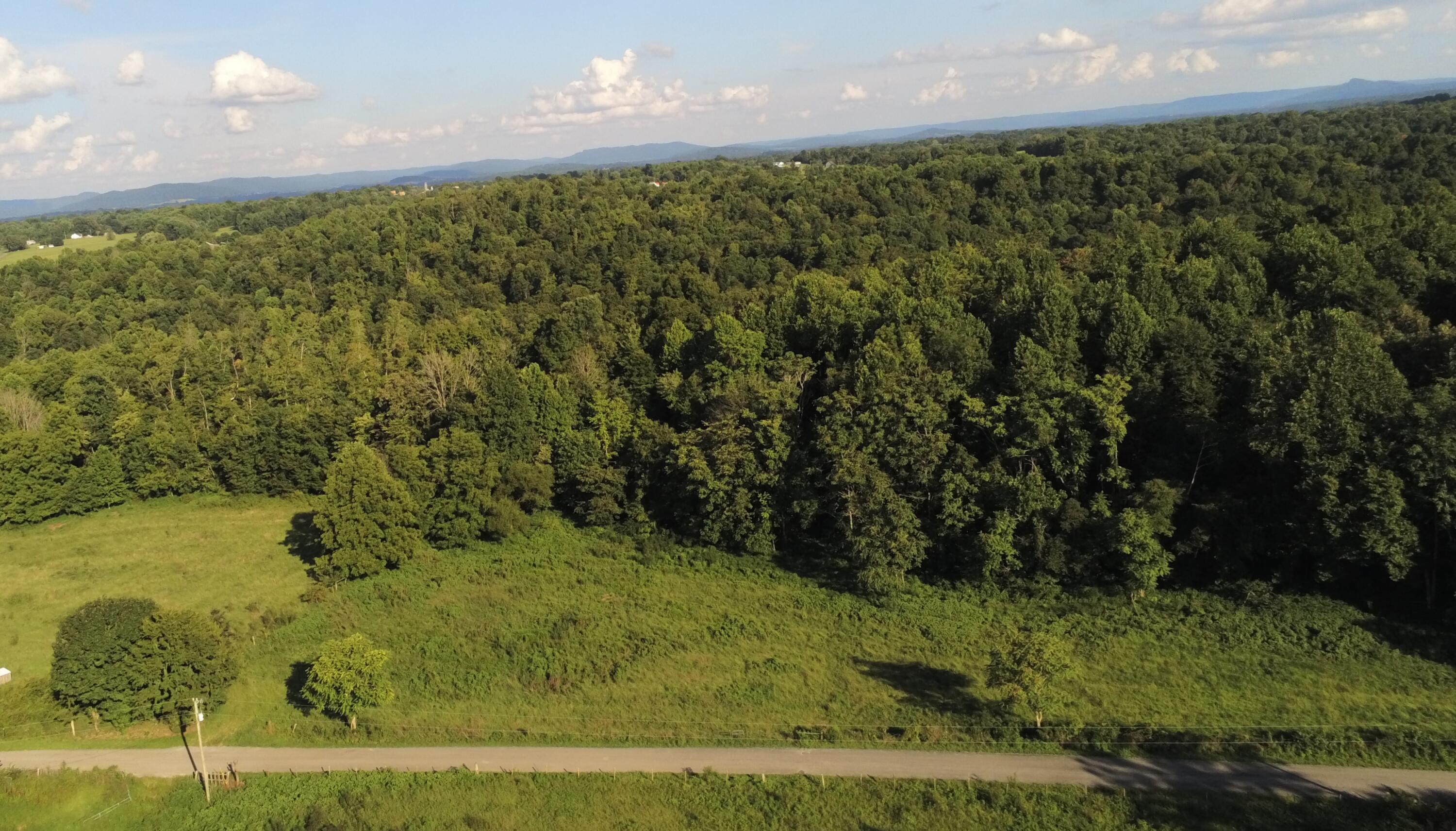 629 Tobin Ridge Road Albany, KY 42602 - Photo 8 of 12 P2360251