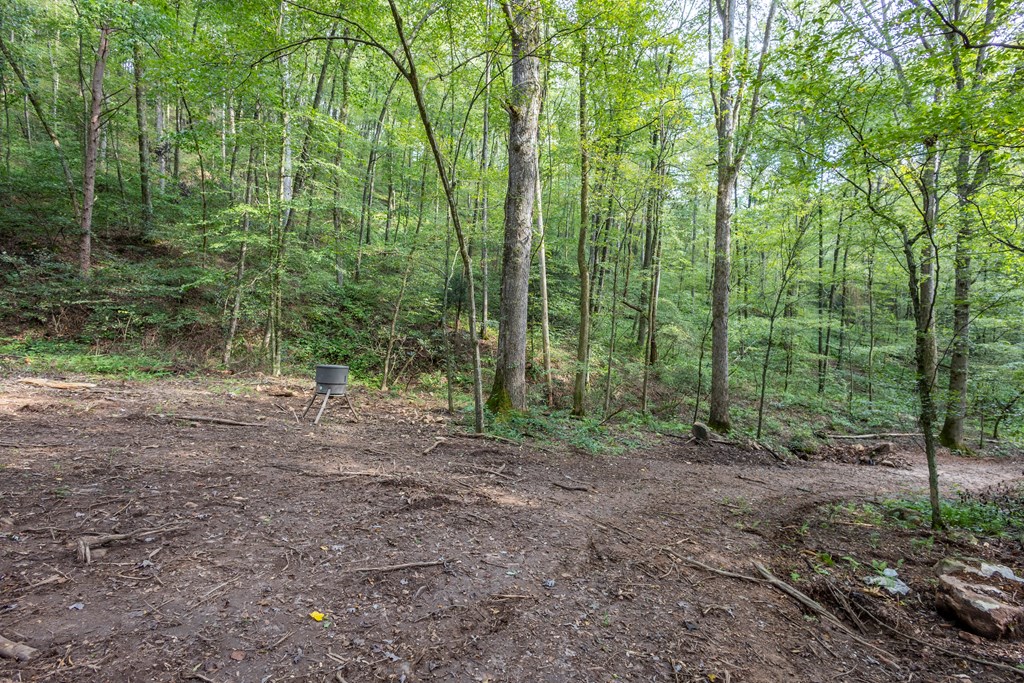 23.59-ac Chestnut Flts Road Andrews, NC 28901 - Photo 39 of 44 Gallery Image 39