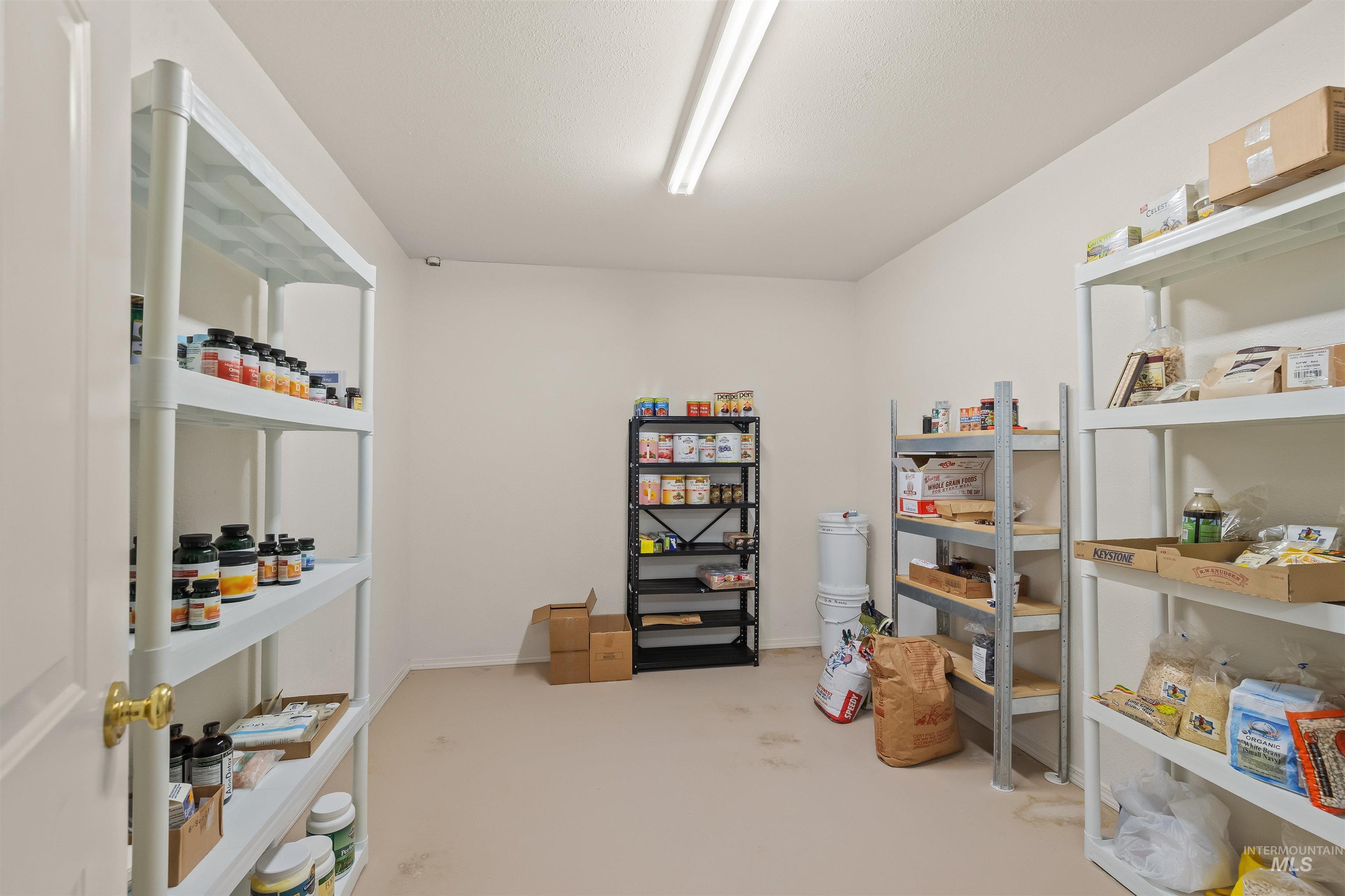 743 Wall Crk Road Stites, ID 83552 - Photo 38 of 48 Spacious storage room featuring ample shelving, light beige carpeting, and a white ceiling with fluorescent lighting