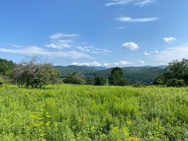 59 Wescott Road Middletown Springs, VT 05757 - Photo 2 of 6 Gallery Image 2