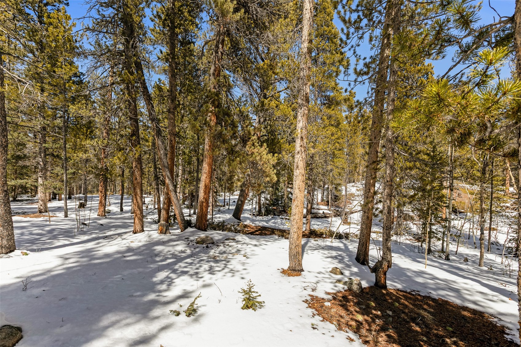 176 Ridge Way Fairplay, CO 80440 - Photo 42 of 47 Gallery Image 42