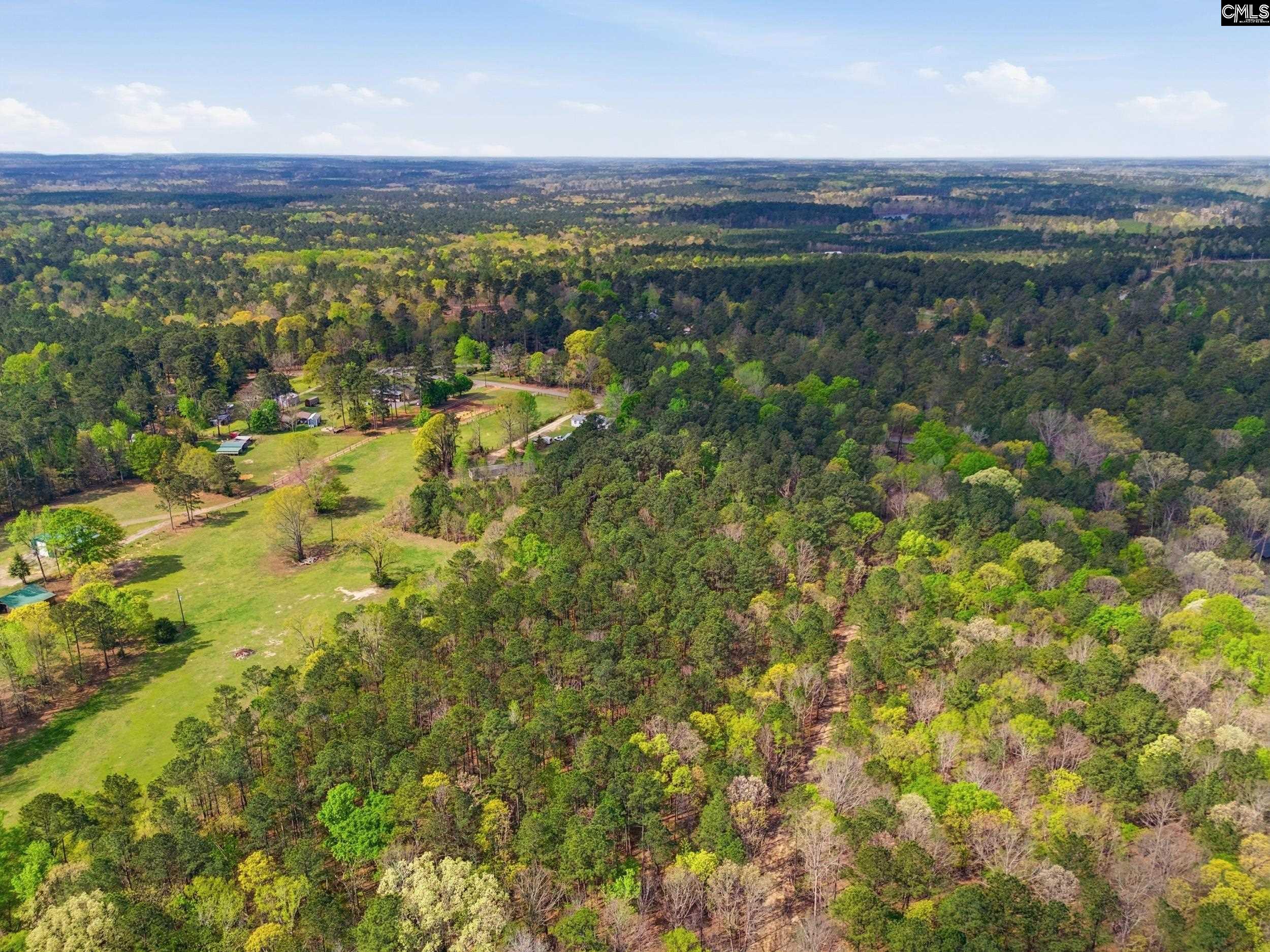 0 Wildwood Rd Extension Leesville, SC 29070 - Photo 11 of 16