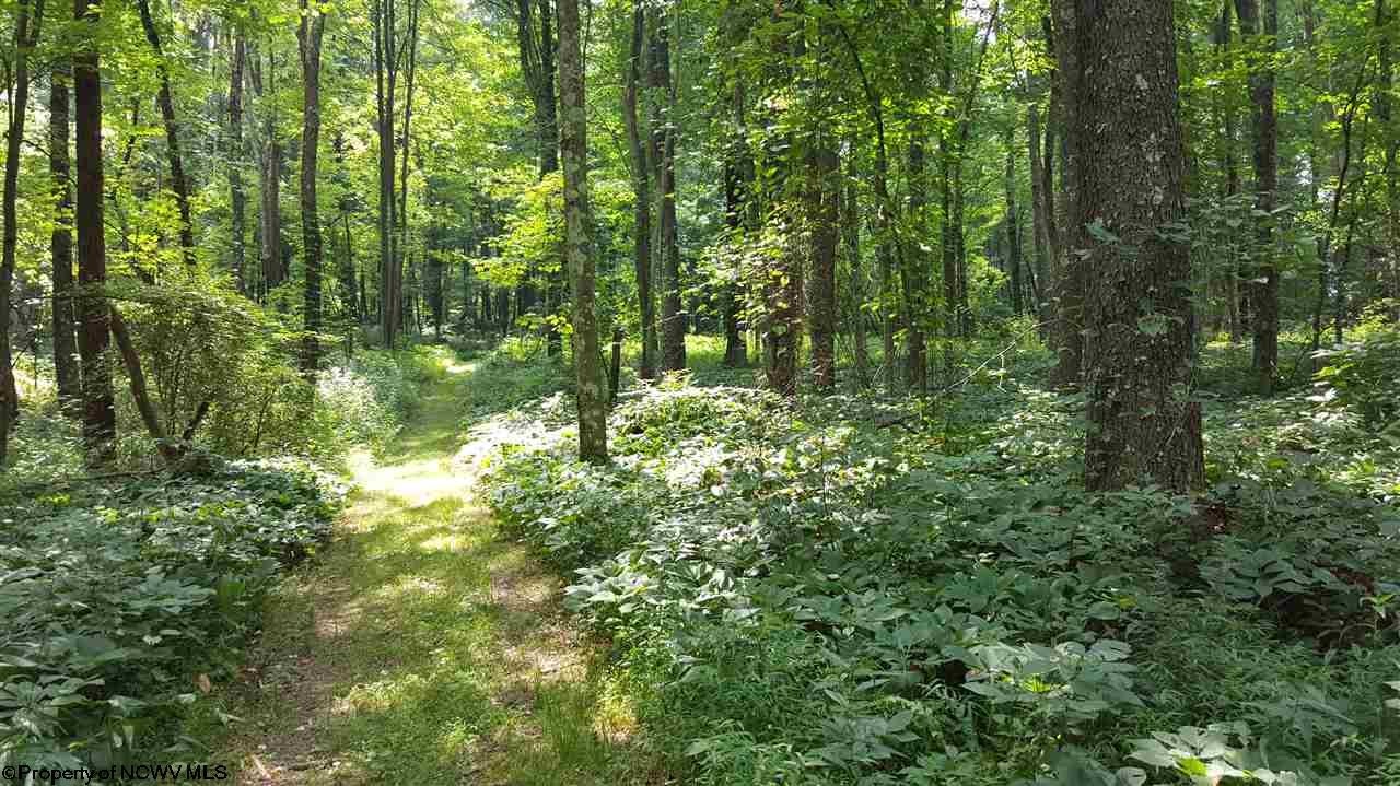 160 Old Sawmill Road Independence, WV 26374 - Photo 11 of 20 Gallery Image 11