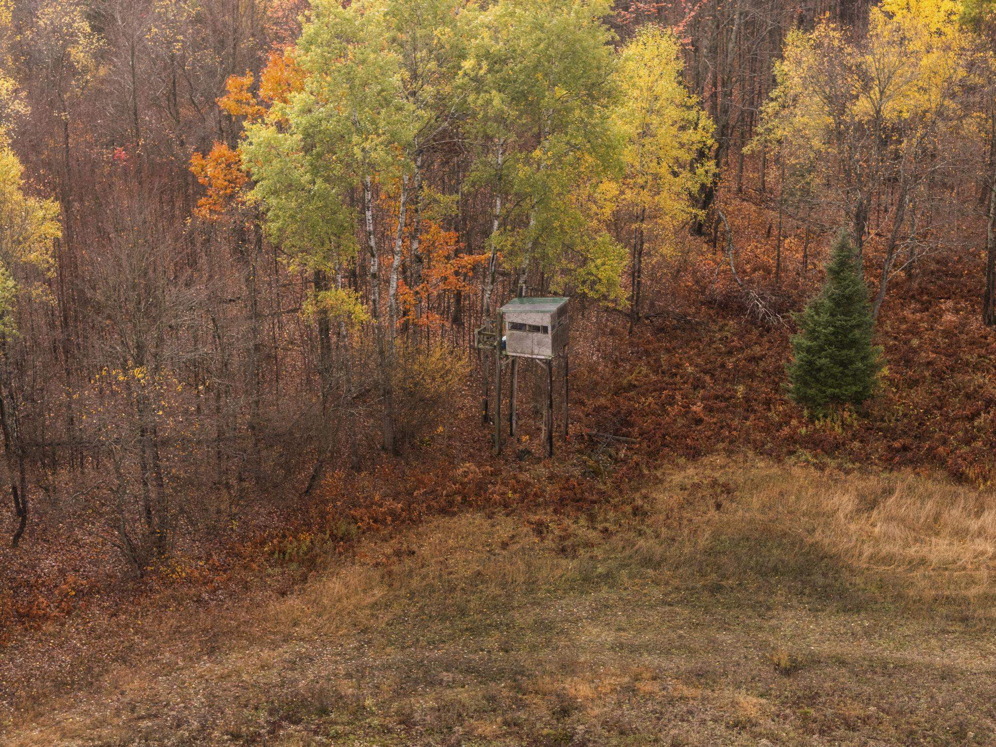 3976 Irvin Road Kingsley, MI 49649 - Photo 39 of 68