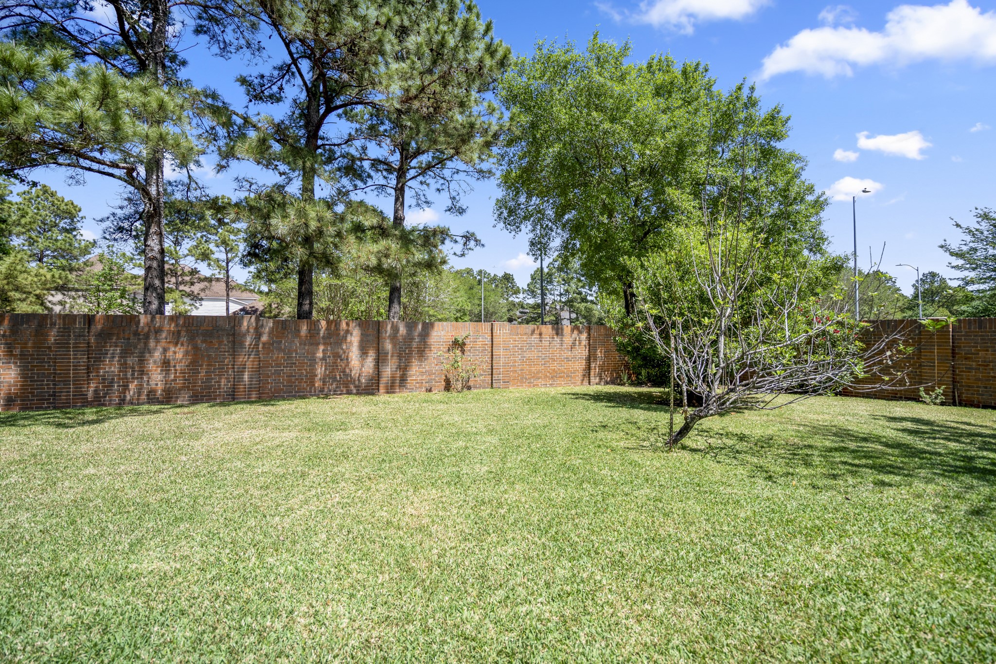 1322 Cardigan Bay Circle Spring, TX 77379 - Photo 40 of 50 The backyard is enclosed by a tall, classic brick wall, offering a level of security and seclusion that your family will enjoy year round.