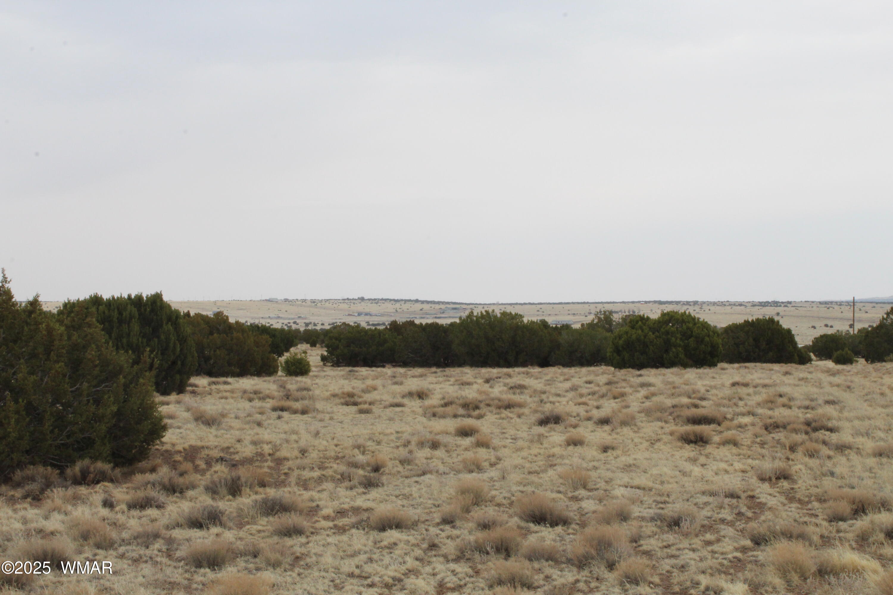 21 County Road Concho, AZ 85924 - Photo 9 of 22