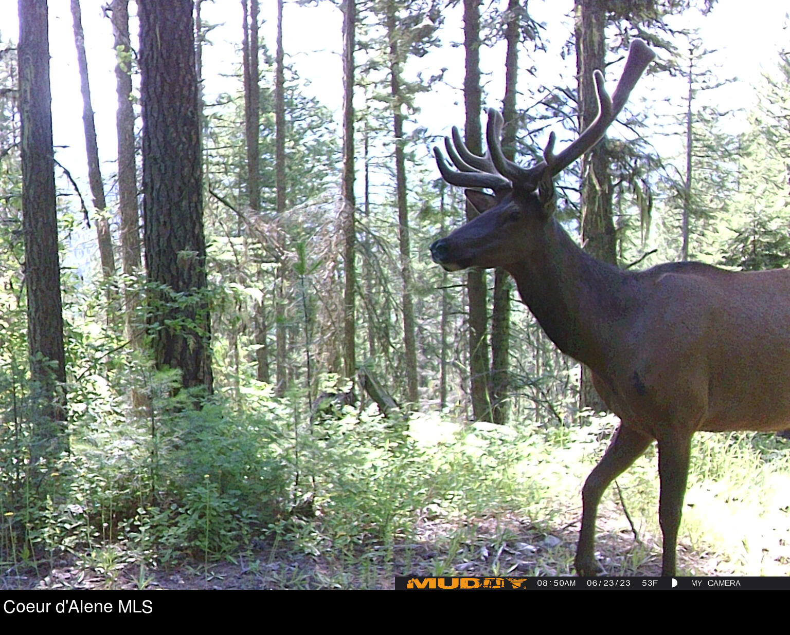 8694 Meadow Creek Road Bonners Ferry, ID 83805 - Photo 14 of 26 Unknown-3