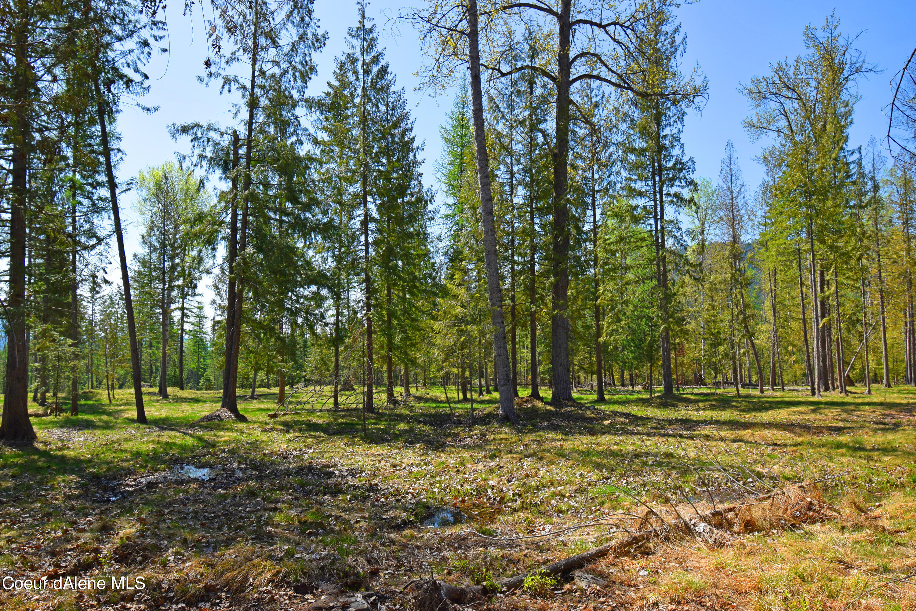 8694 Meadow Creek Road Bonners Ferry, ID 83805 - Photo 24 of 26 DSC_0051