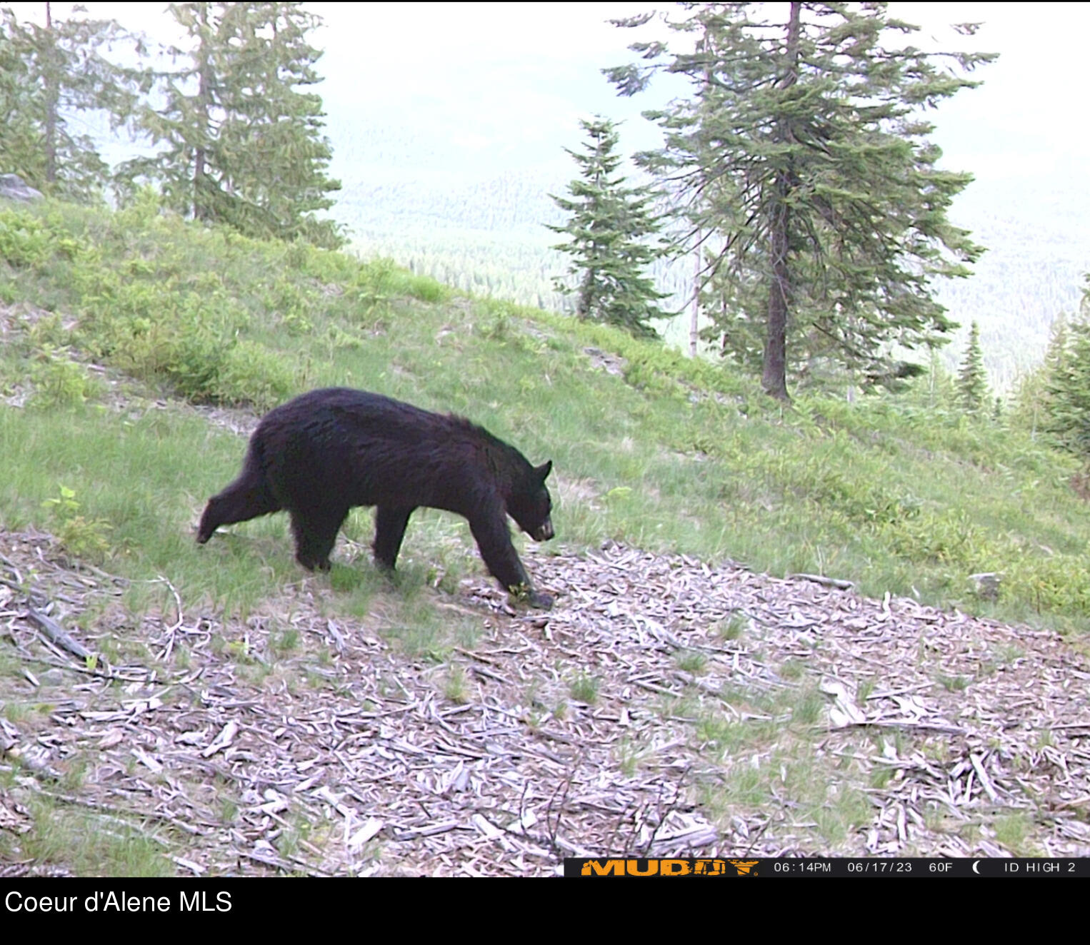 8694 Meadow Creek Road Bonners Ferry, ID 83805 - Photo 25 of 26 Unknown-2