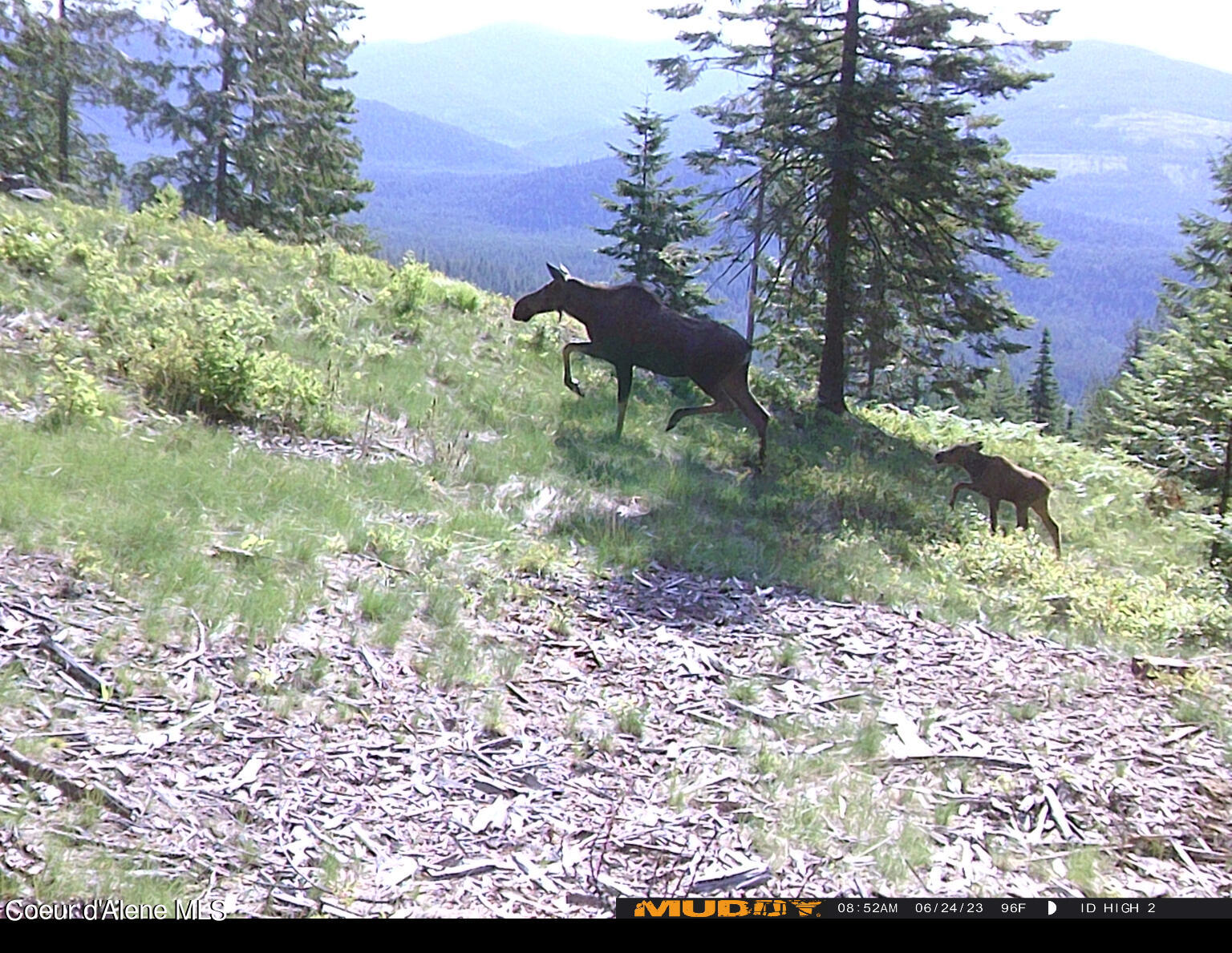 8694 Meadow Creek Road Bonners Ferry, ID 83805 - Photo 4 of 26 Unknown-1