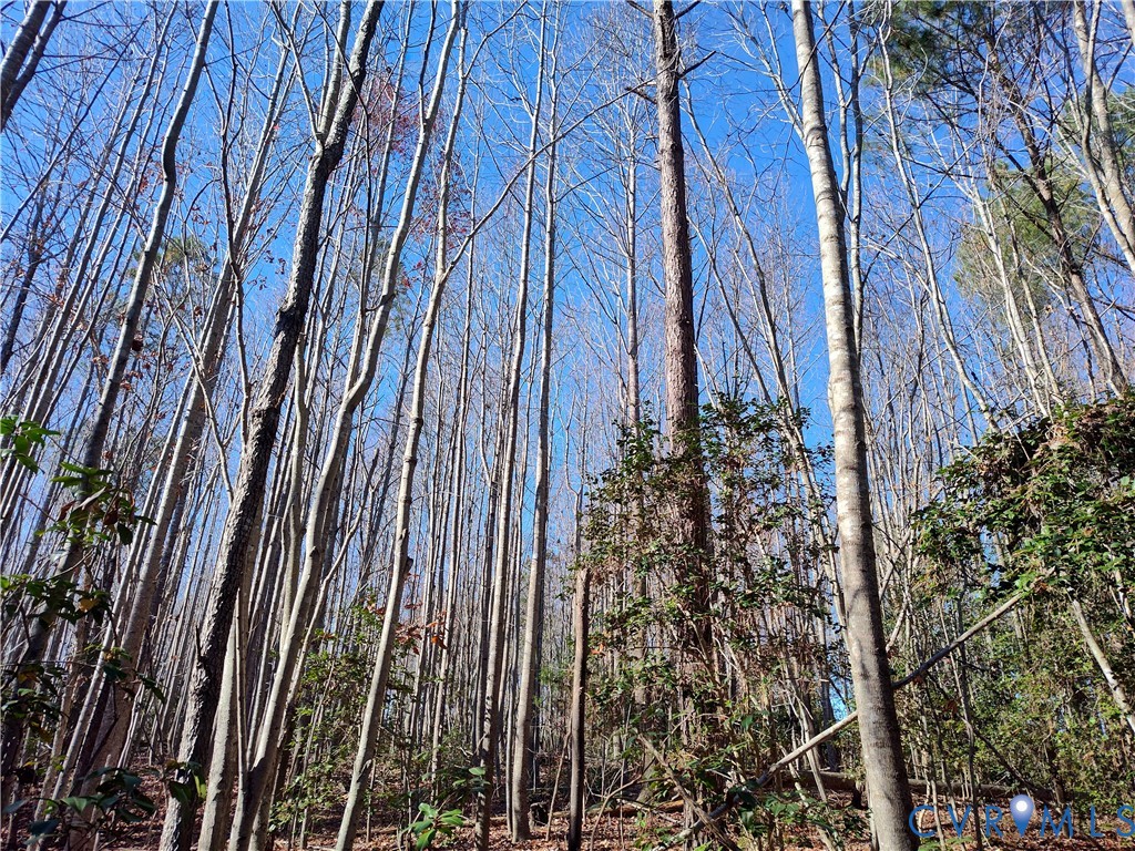 108.5-ac Buzzards Neck Road Lancaster, VA 22503 - Photo 36 of 50