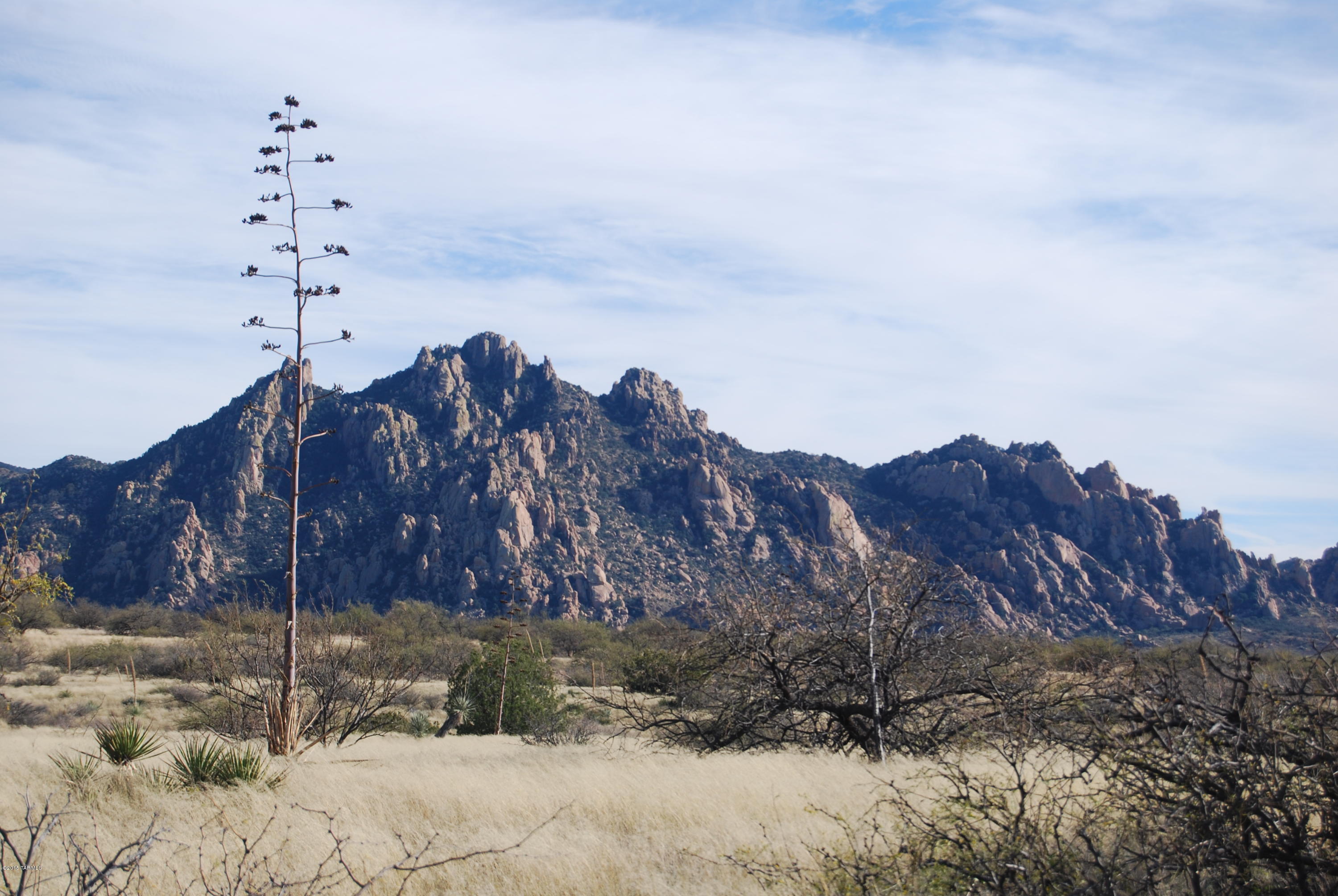 East Diamondback Road St. David, AZ 85630 - Photo 1 of 32
