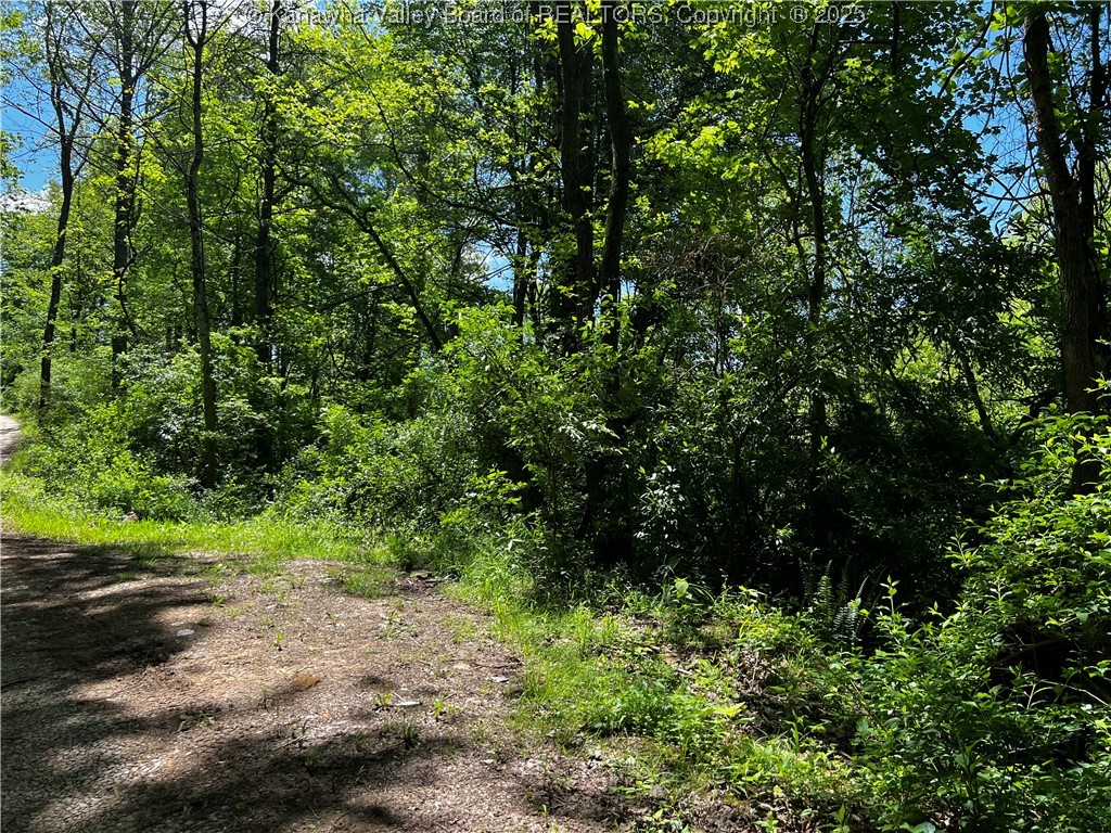 0 Plantation Road Charleston, WV 25312 - Photo 2 of 13 Gallery Image 2