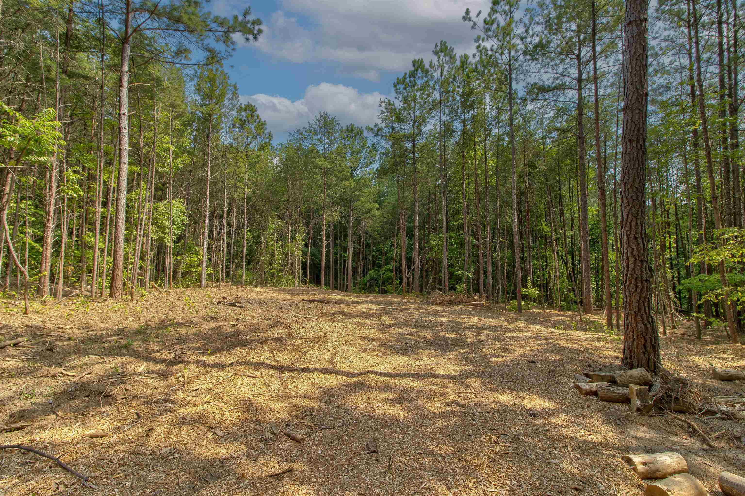 Mountain View Road Landrum, SC 29356 - Photo 11 of 13