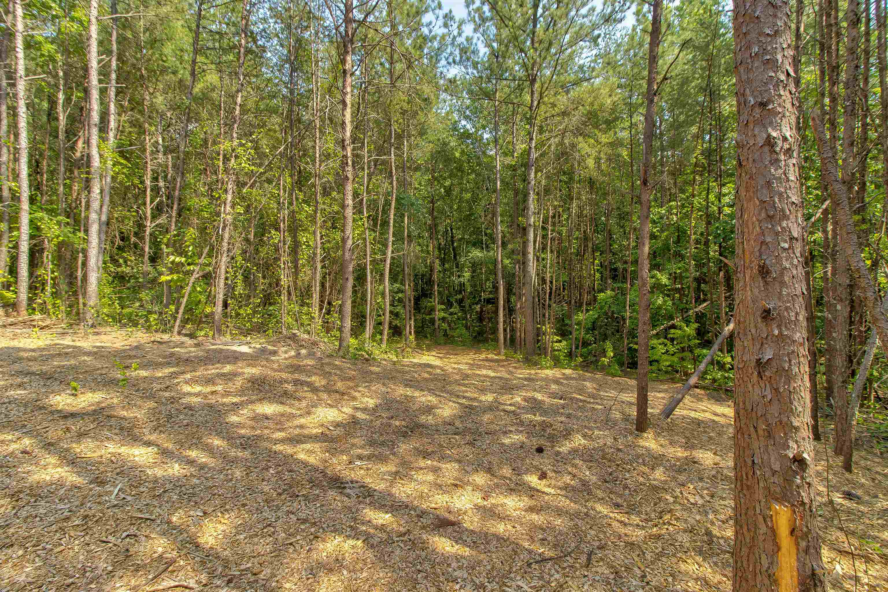 Mountain View Road Landrum, SC 29356 - Photo 13 of 13