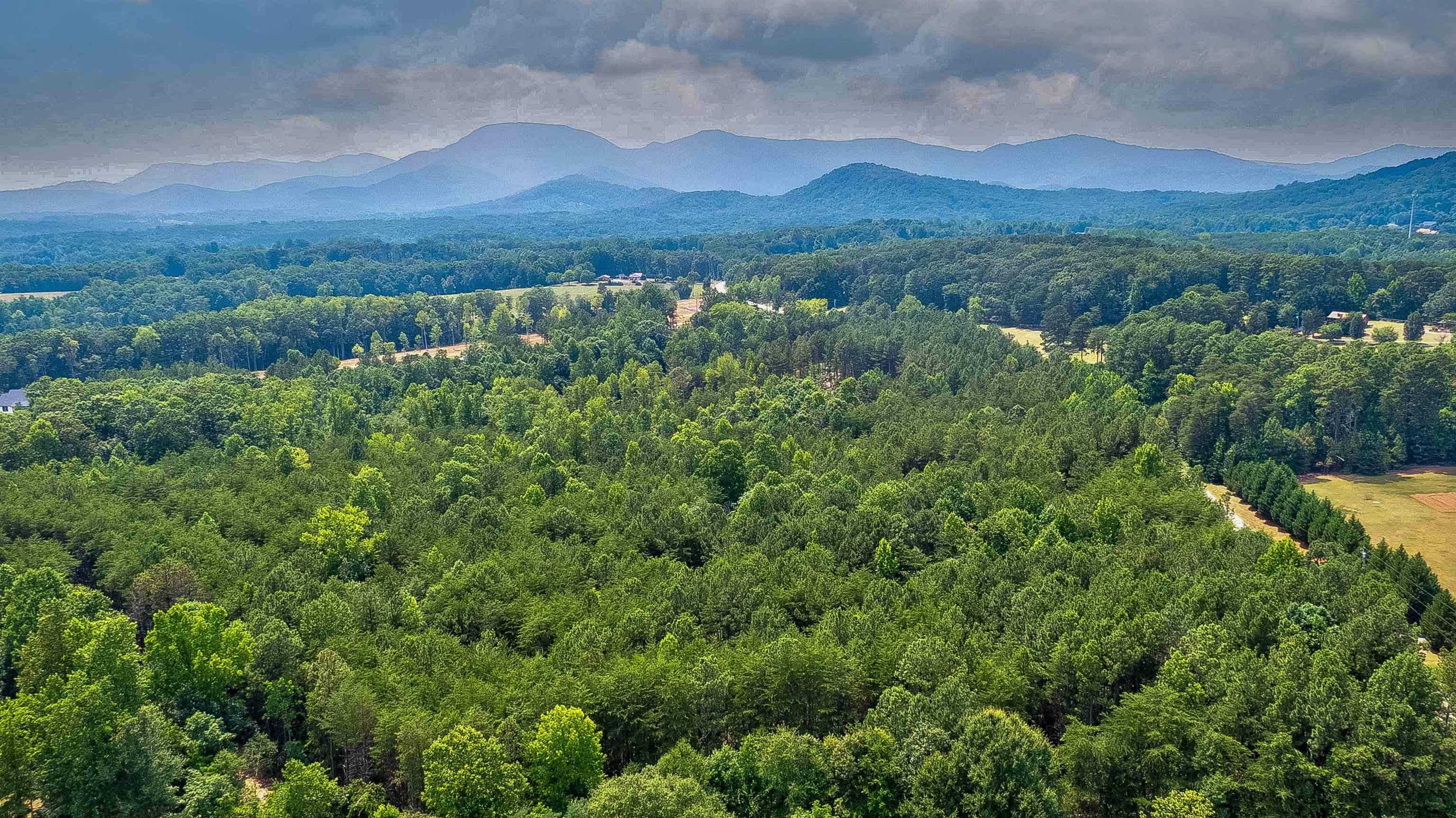 Mountain View Road Landrum, SC 29356 - Photo 5 of 13