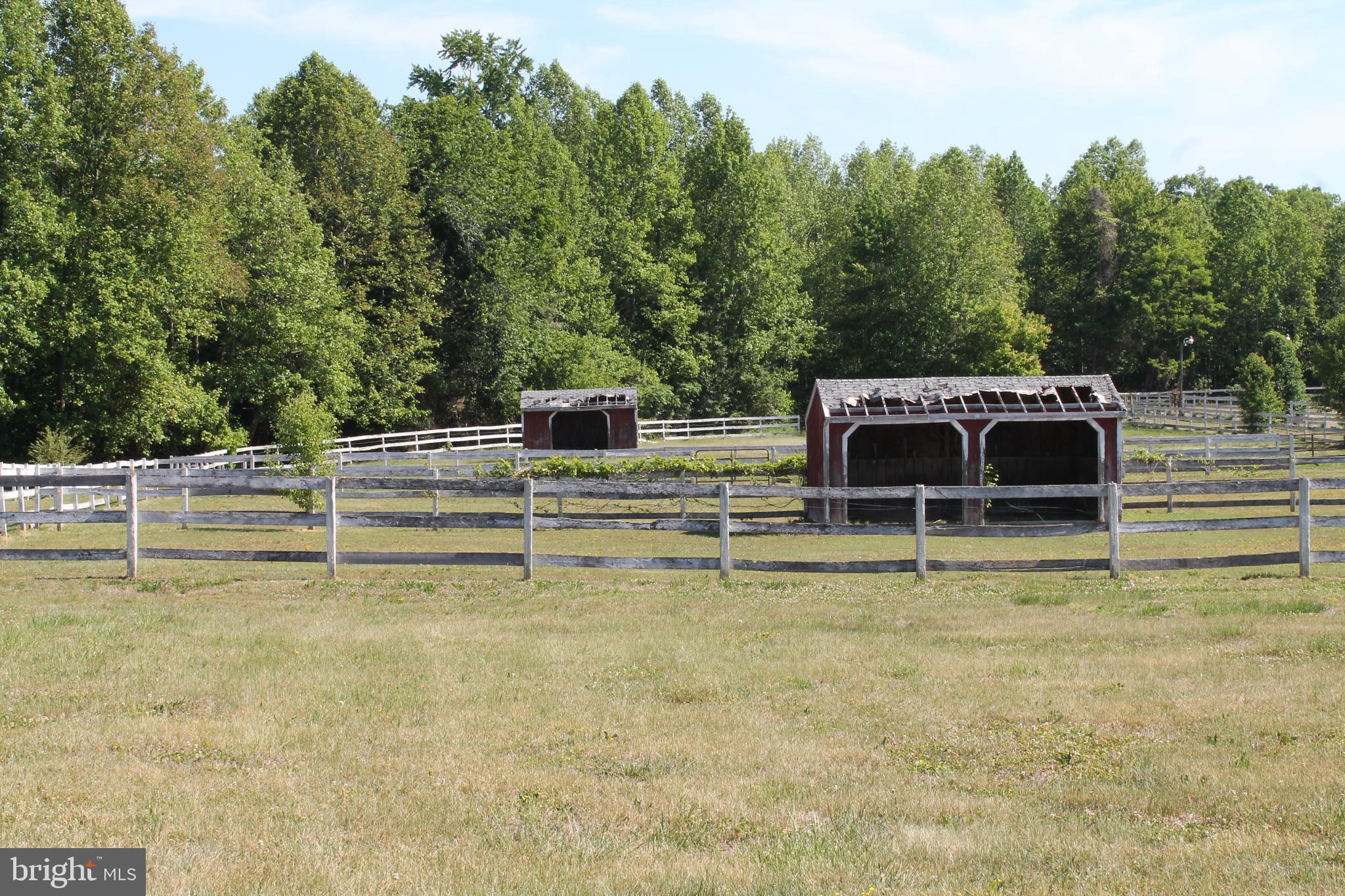 6031 Hickory Ridge Road Spotsylvania, VA 22551 - Photo 18 of 28 5 paddocks