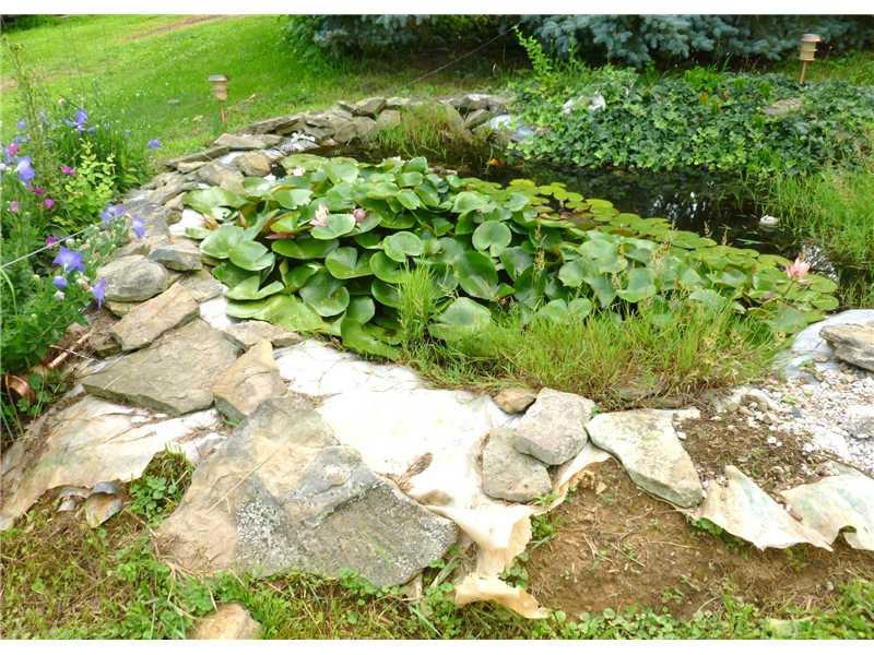 712 Hill Road Georgetown, PA 15043 - Photo 5 of 16 Land. Pond